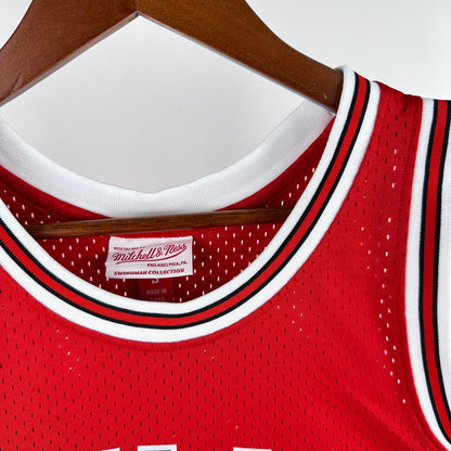 NBA Chicago Bulls 2016/17 #3 Dwayne Wade classic Jersey