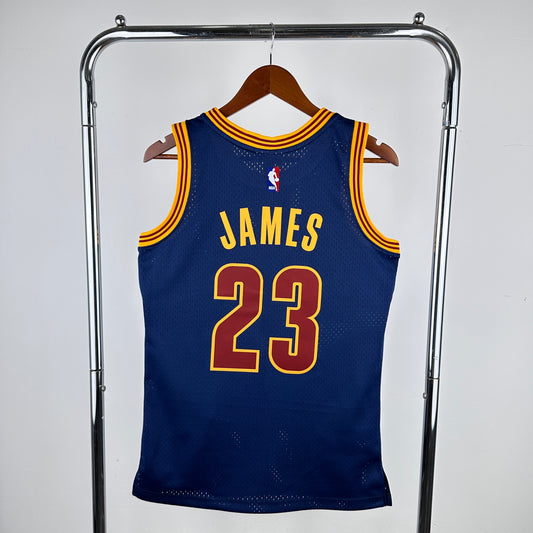 NBA Cleveland Cavaliers 2015/16 #23 LeBron James classic Jersey