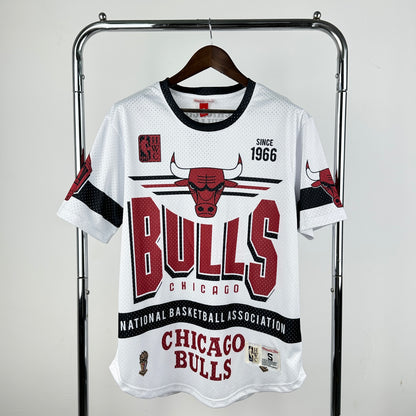 NBA Chicago Bulls Special edition Jersey