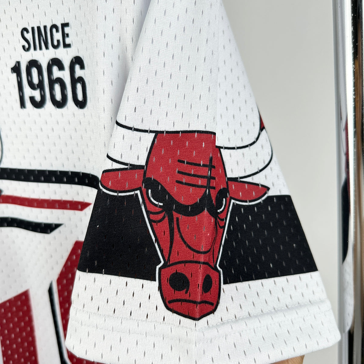 NBA Chicago Bulls Special edition Jersey