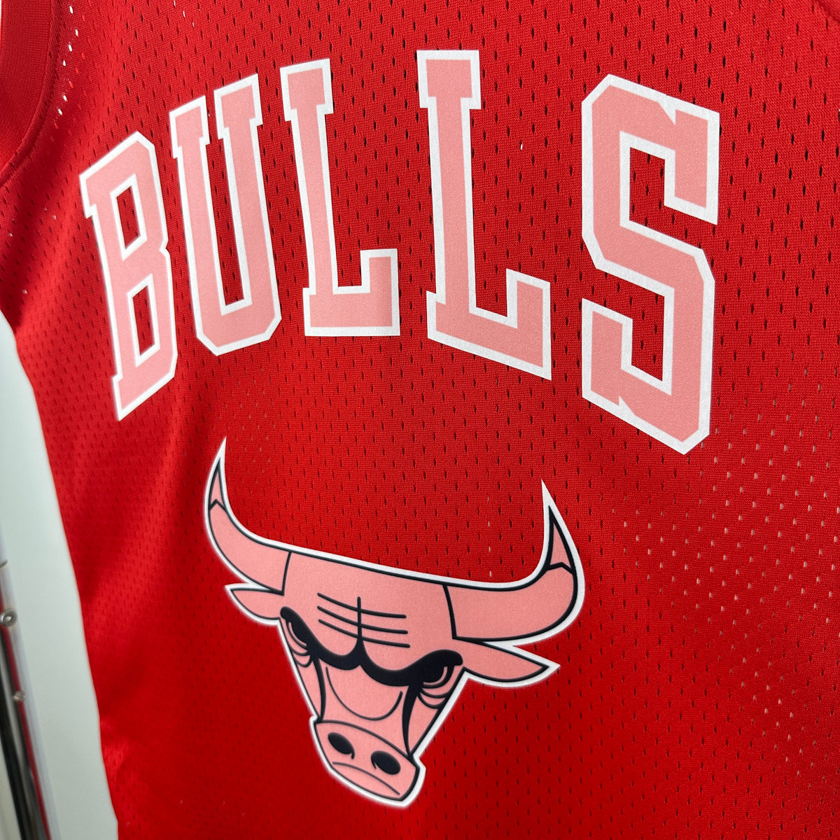 NBA Chicago Bulls Special edition Jersey
