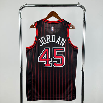 NBA Chicago Bulls Regular season Jersey