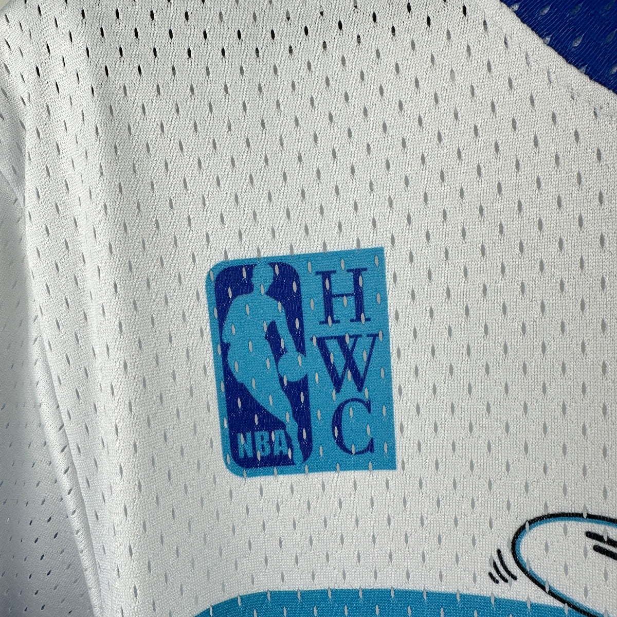 NBA Charlotte Hornets Special edition Jersey