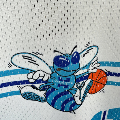 NBA Charlotte Hornets Special edition Jersey