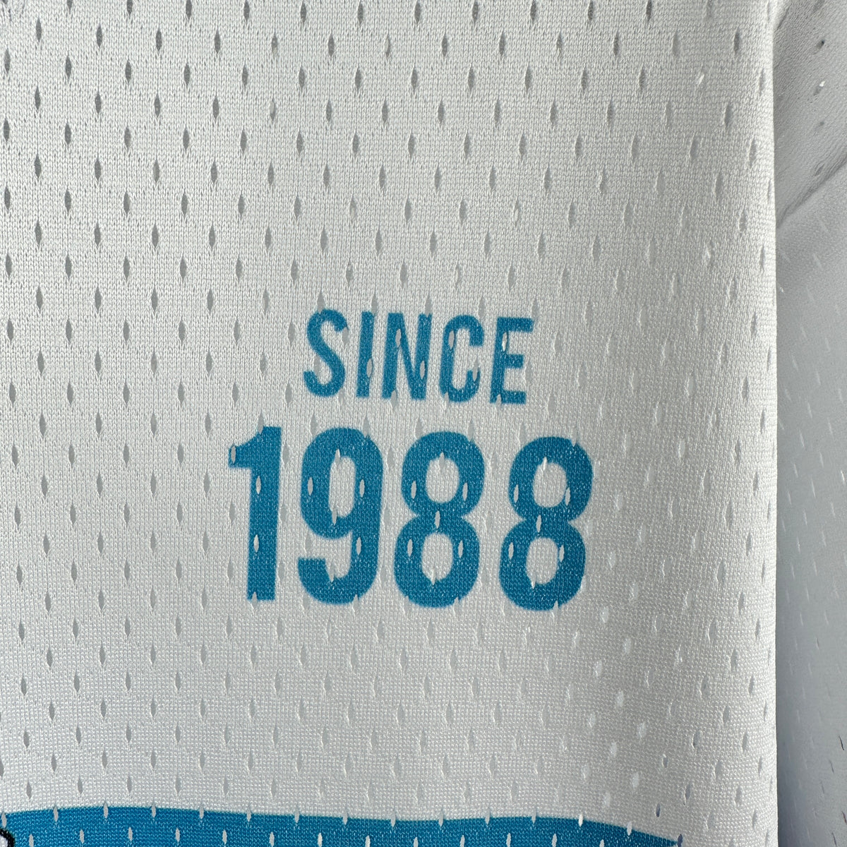NBA Charlotte Hornets Special edition Jersey