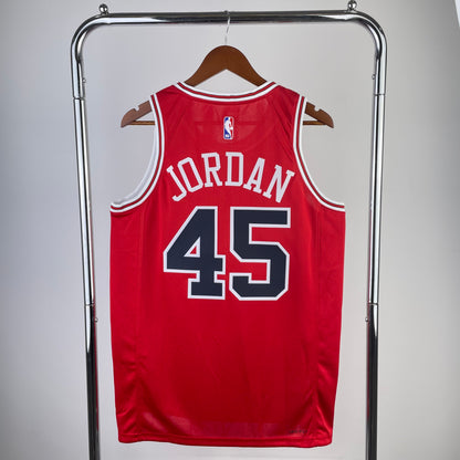 NBA Chicago Bulls Regular season Jersey