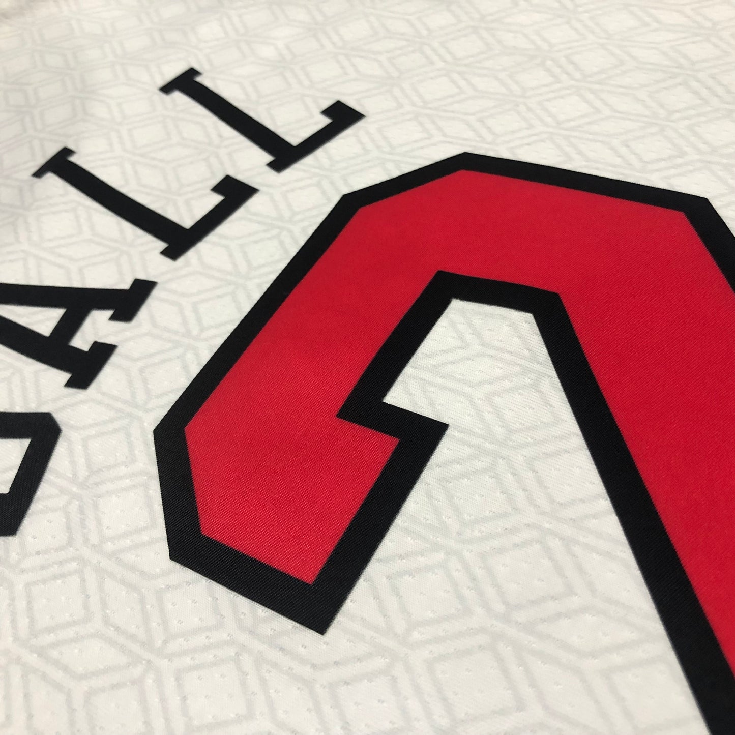 NBA Chicago Bulls Regular season Jersey