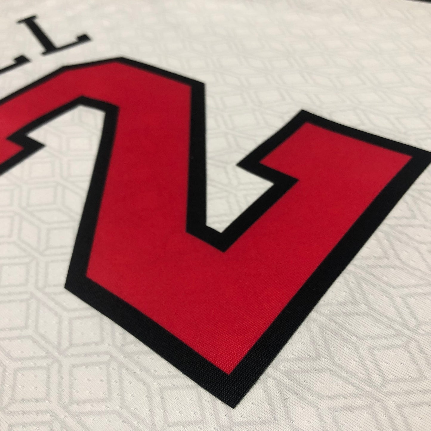 NBA Chicago Bulls Regular season Jersey