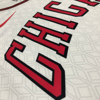 NBA Chicago Bulls Regular season Jersey