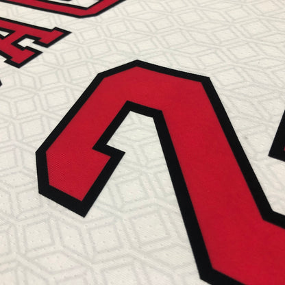 NBA Chicago Bulls Regular season Jersey