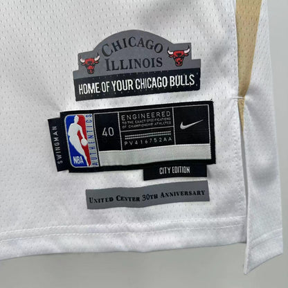 NBA Chicago Bulls special edition Jersey