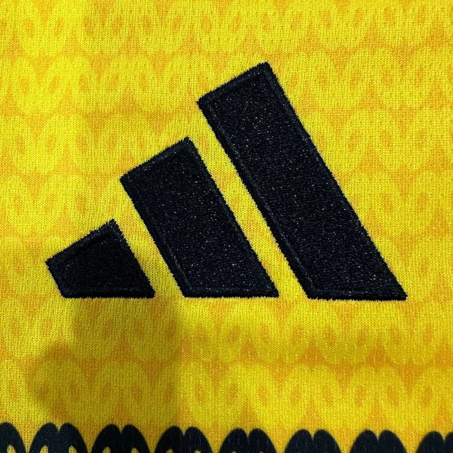 Jamaica home 2026 fans version