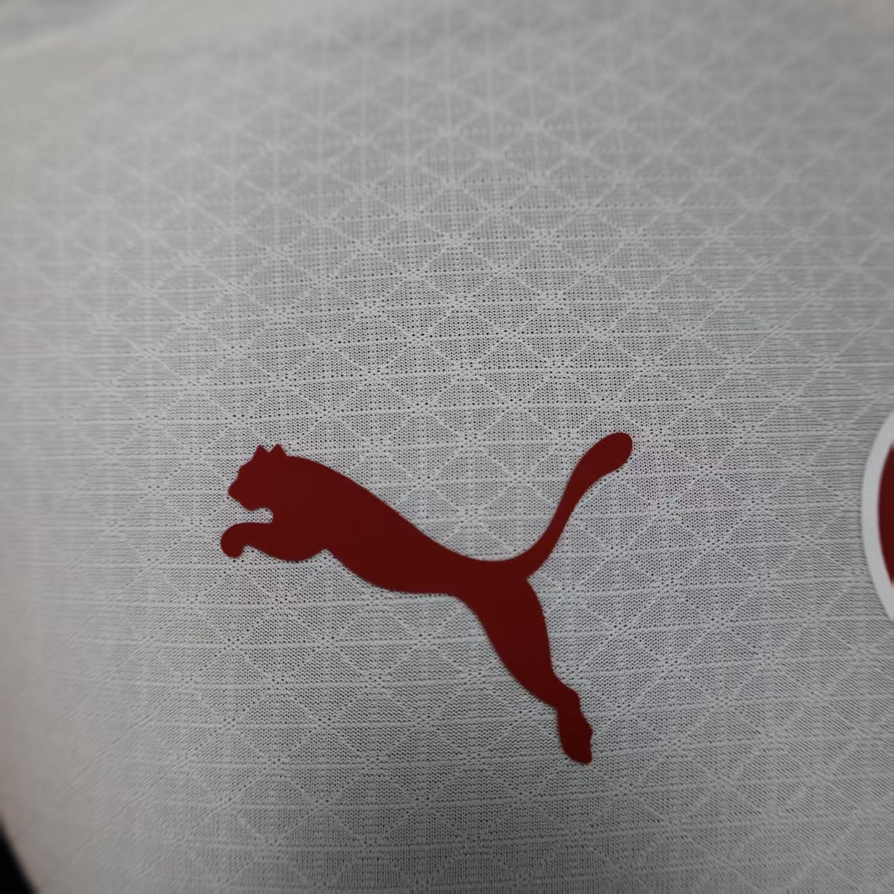 2025/2026 Galatasarsy away Player's version