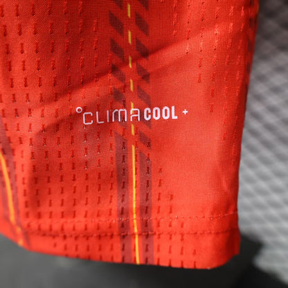 Spain 2026 home Player's version