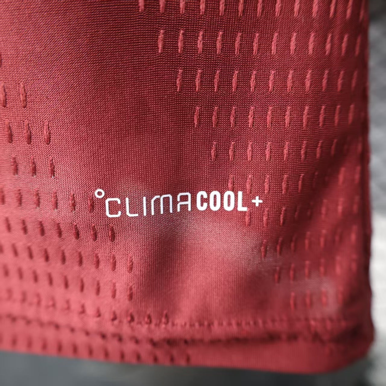 Qatar 2026 home Player's version