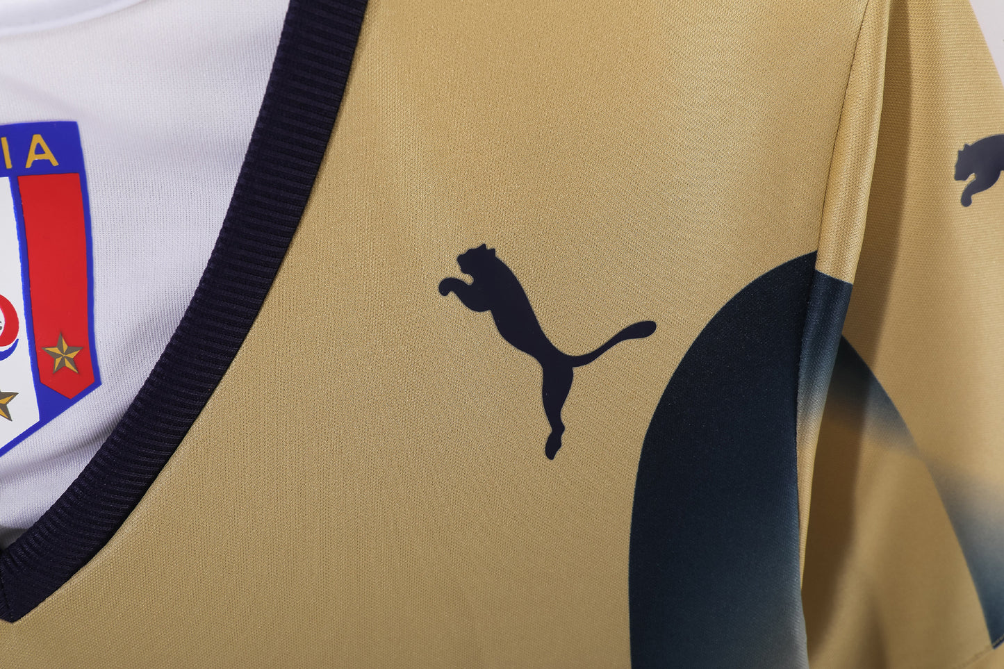 2006 Italy goalkeeper home