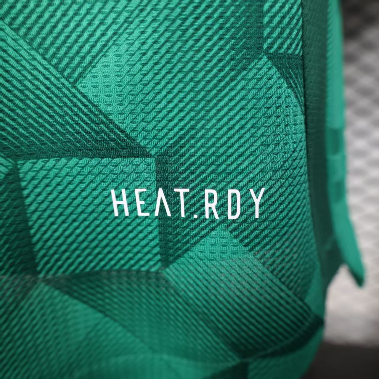 Saudi Arabia 2024/2025 home Player's version