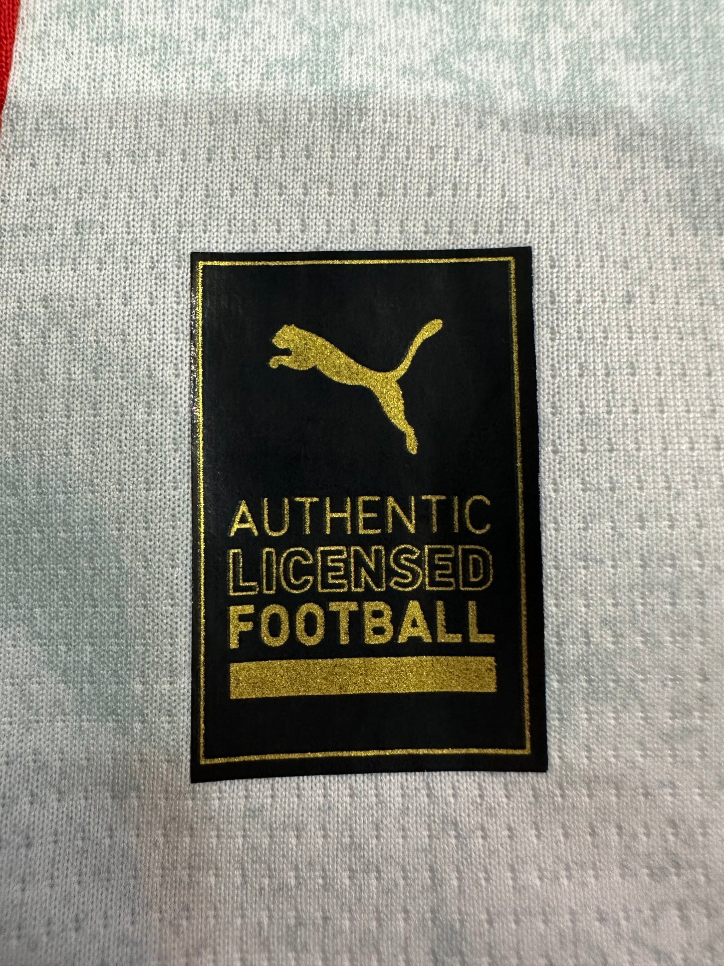 2025/2026 RB Salzburg home