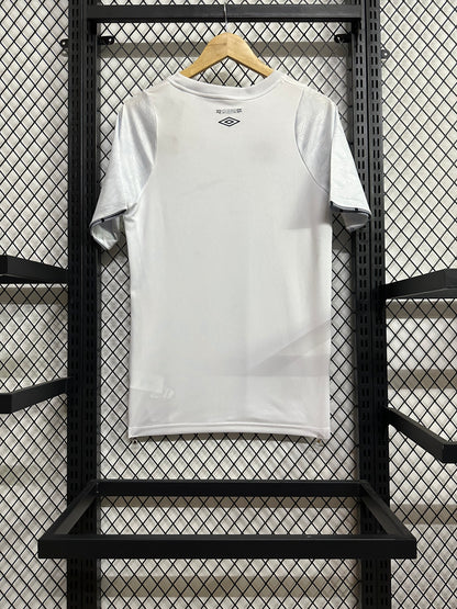 2024/2025 Santos FC home