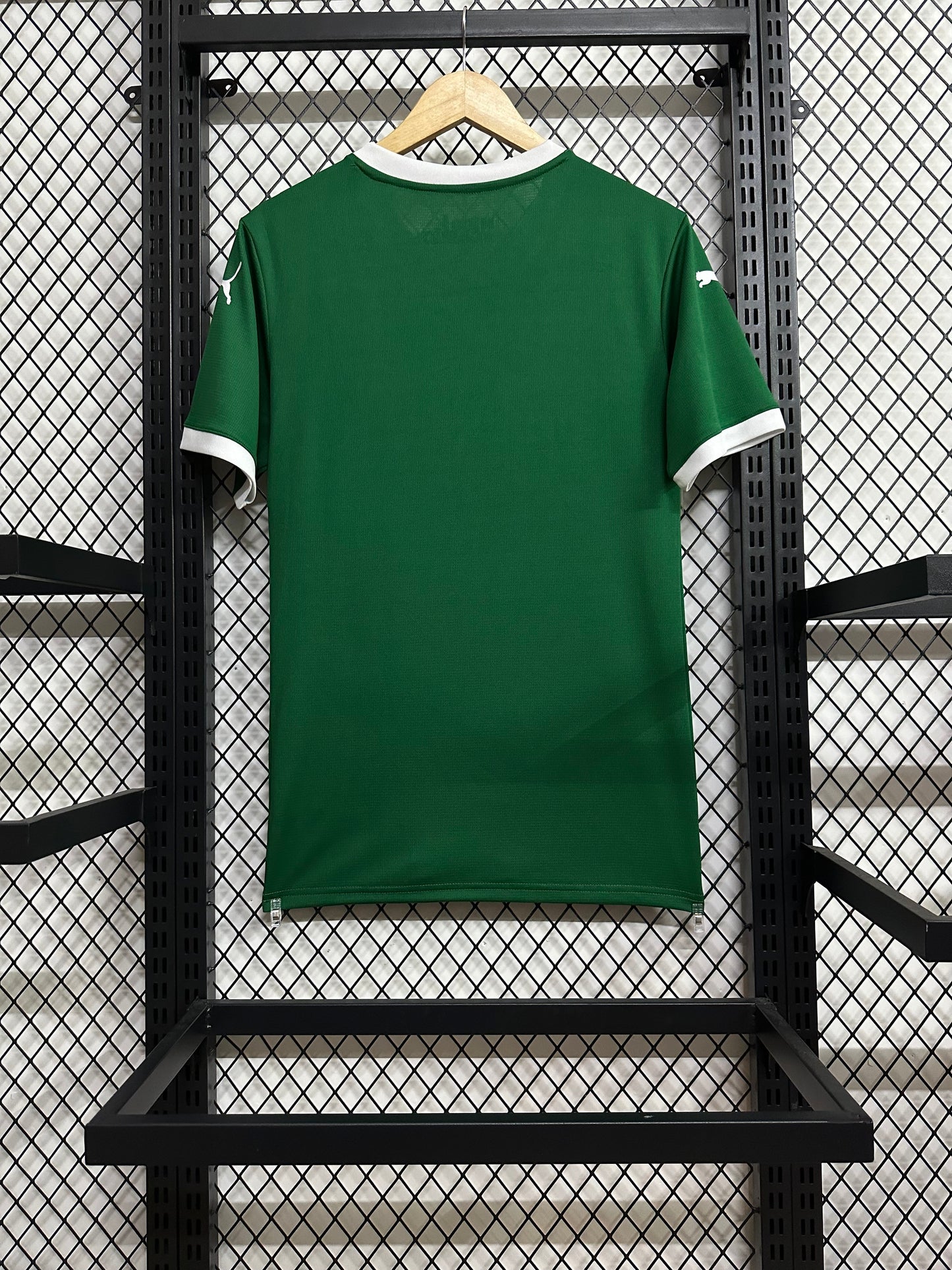 2025/2026 Palmeiras home