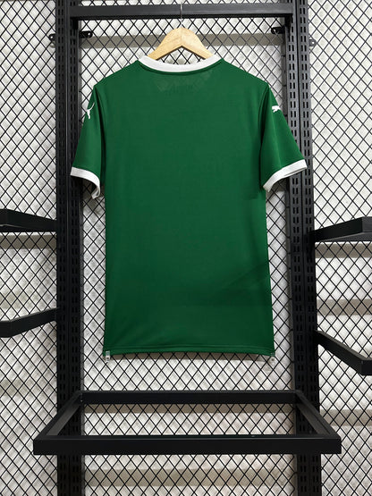 2025/2026 Palmeiras home
