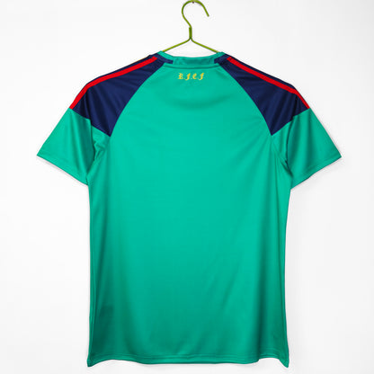 2010 spain goalkeeper jersey